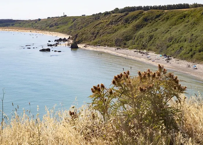 Affittacamere Pennaluce